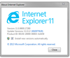 IE Version.png