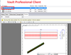 Vault Pro Client.png