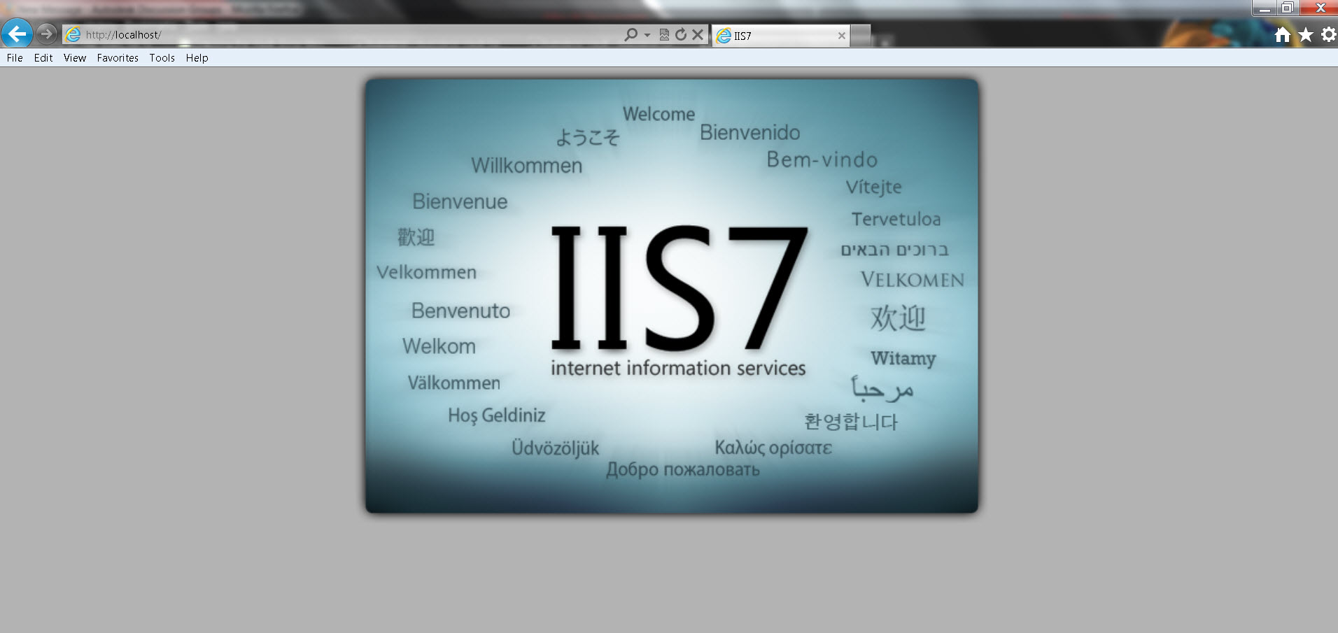 iis.jpg