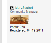 ComManager.png