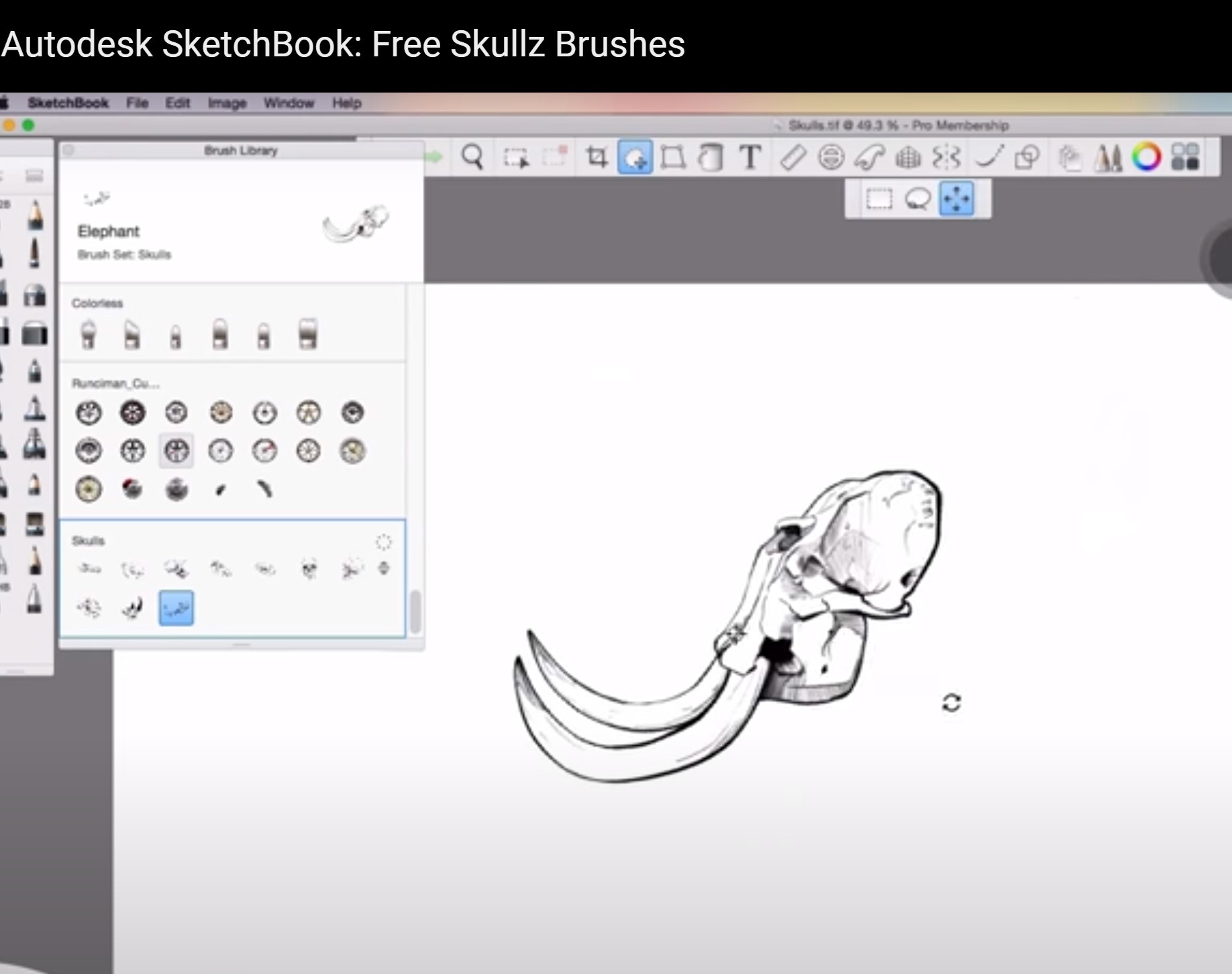 Skullz Brush Set by Autodesk Sketchbook - Autodesk Community - Community  Archive - Read Only