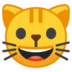 :grinning_cat_face: