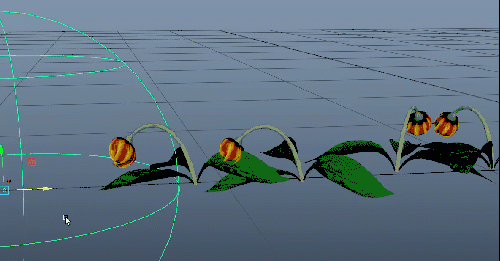 flower_anim.gif