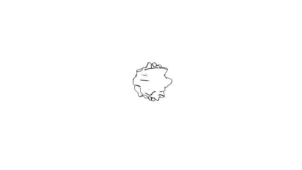 2876-far.png