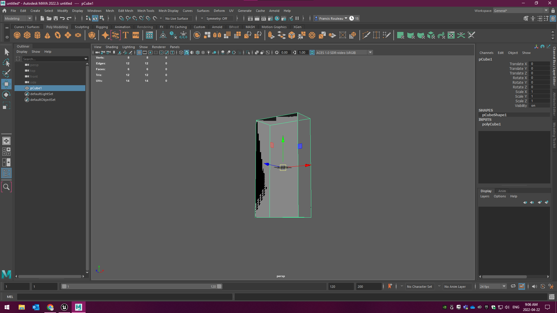 Viewport Mesh Display Issues - Autodesk Community