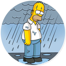 Homer_wet.png