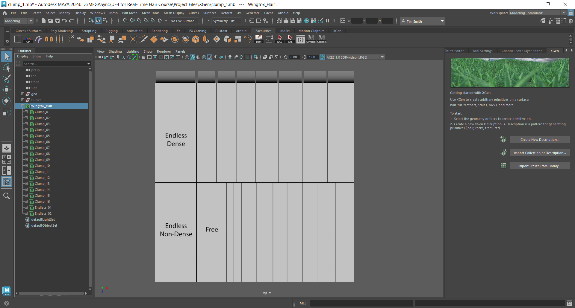 Can't get restored XGen Collection/Description files to work - Autodesk ...