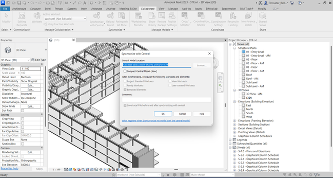 Revit 2023 Cloud Work-sharing Publishing Setting And Publish Latest ...