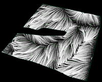 2023-03-03_7-20-39.png