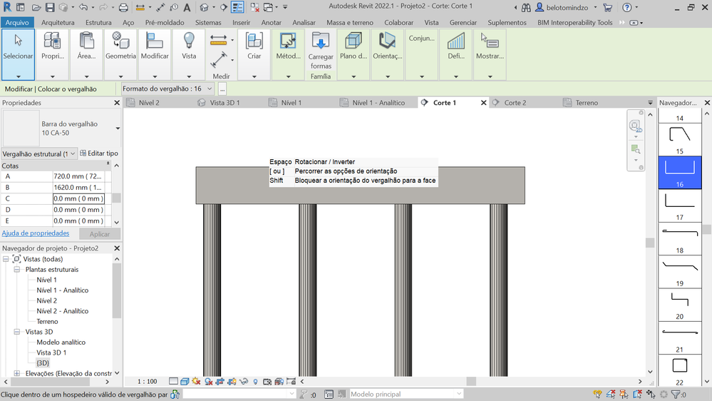 Revit CAPTURE.PNG