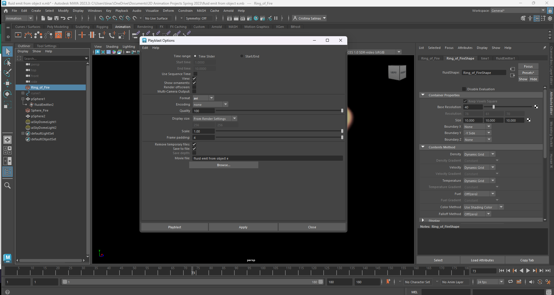 Flickering Playblast when working with fluid emitters - Autodesk Community