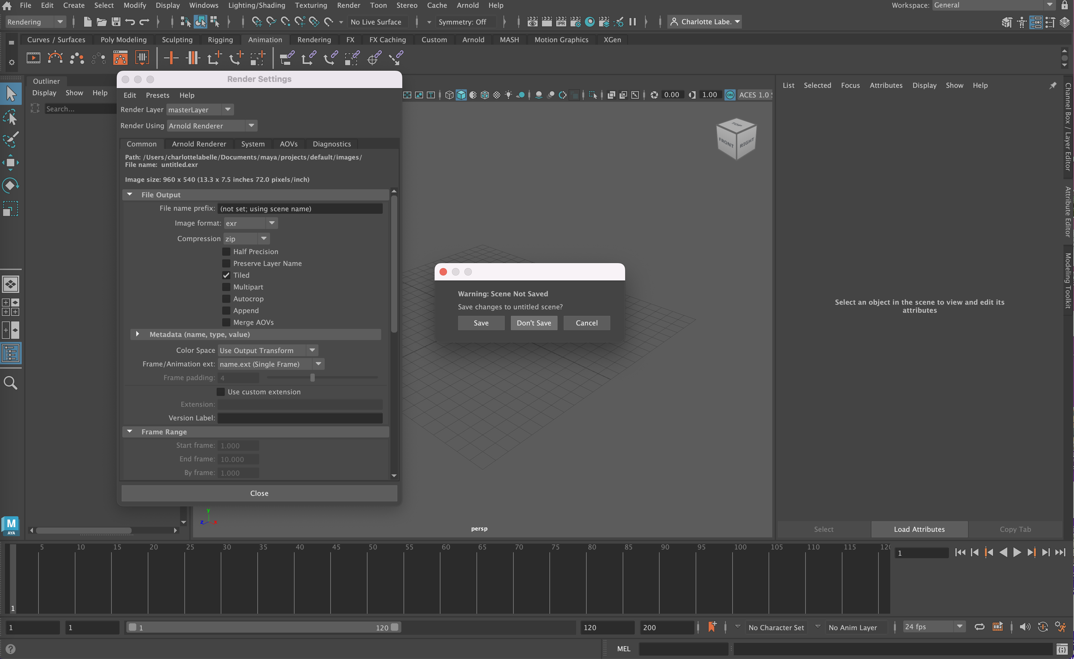 Maya Crashes When I Try To See Render View - Autodesk Community