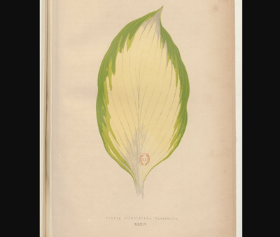 mofran1977_0-1689591103403.png