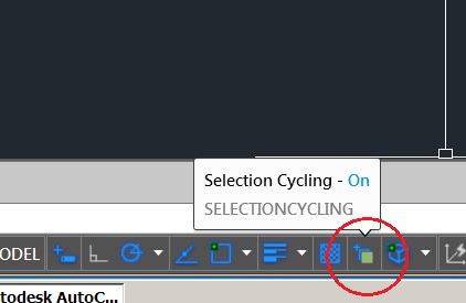 SelectionCycling.jpg
