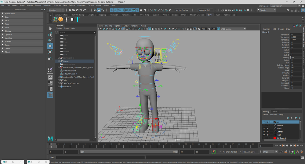 Body Rig Doesn't Working!