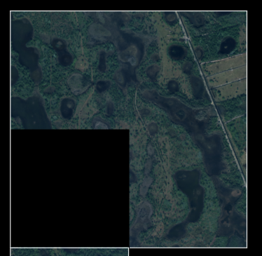 tcorey_1-1739973670687.png