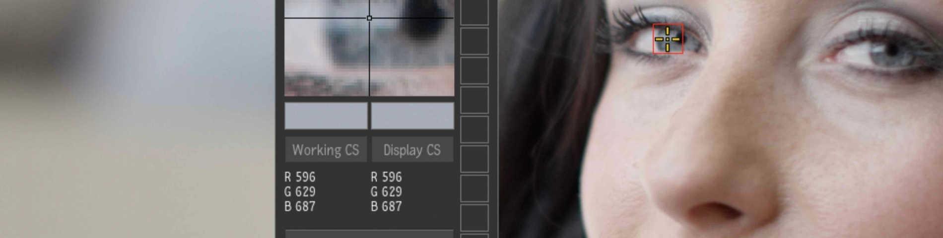 Using the Colour Sampler - Autodesk Community