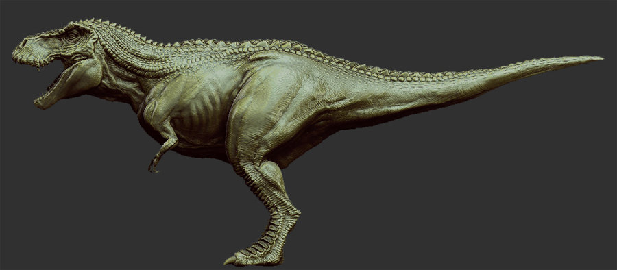 trex_side_view_by_mattj324-d4agjmb.jpg.