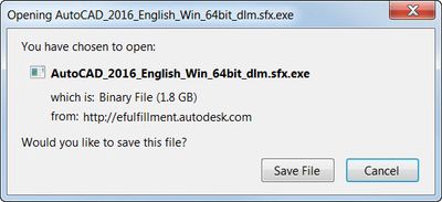 Downloaded File