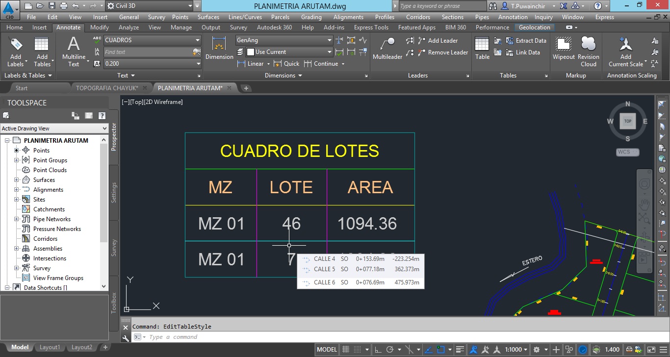lotes cuadro.jpg