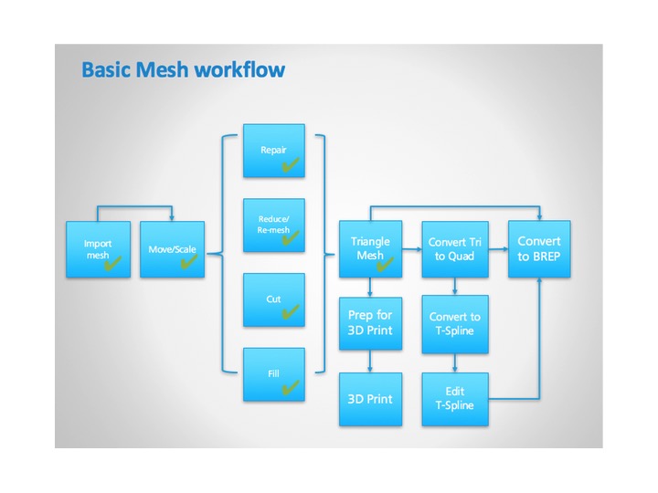 Mesh Roadmap view = trying to make sense of it all... - Autodesk Community