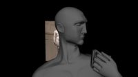 Neck In_progress 5a.jpg
