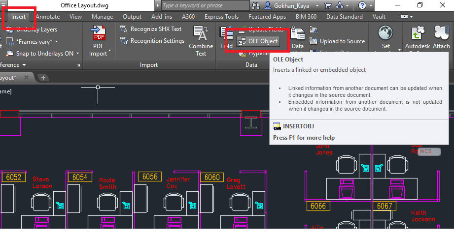 Autocad Ole Object (Insert Object)