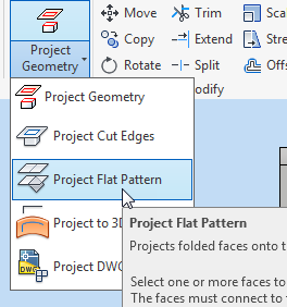 Project Flat Pattern.png