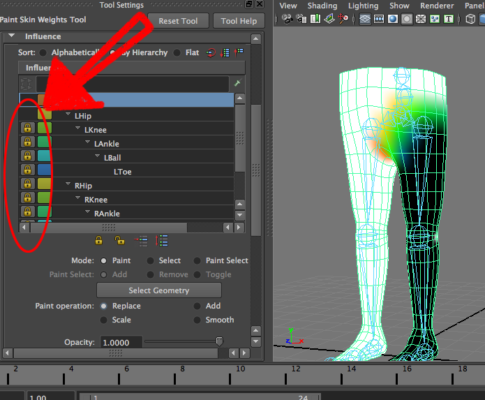 Solved: paint skin weights tool problem (bug?) - Autodesk Community - Maya