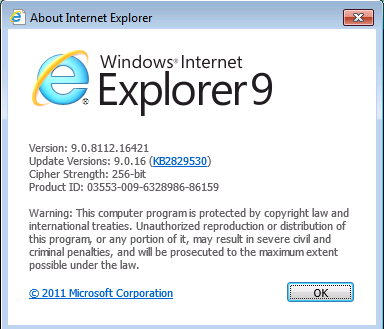 ie 9 version.png