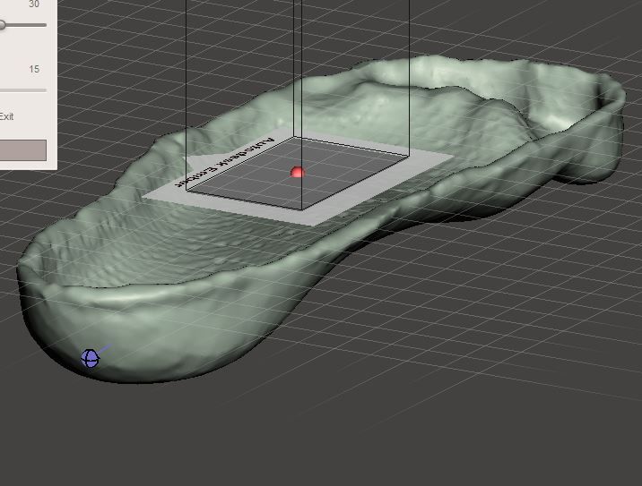 left foot mesh query