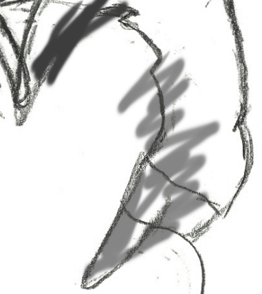 first.PNG