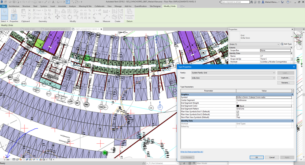 Grids at 1:200 view Scale