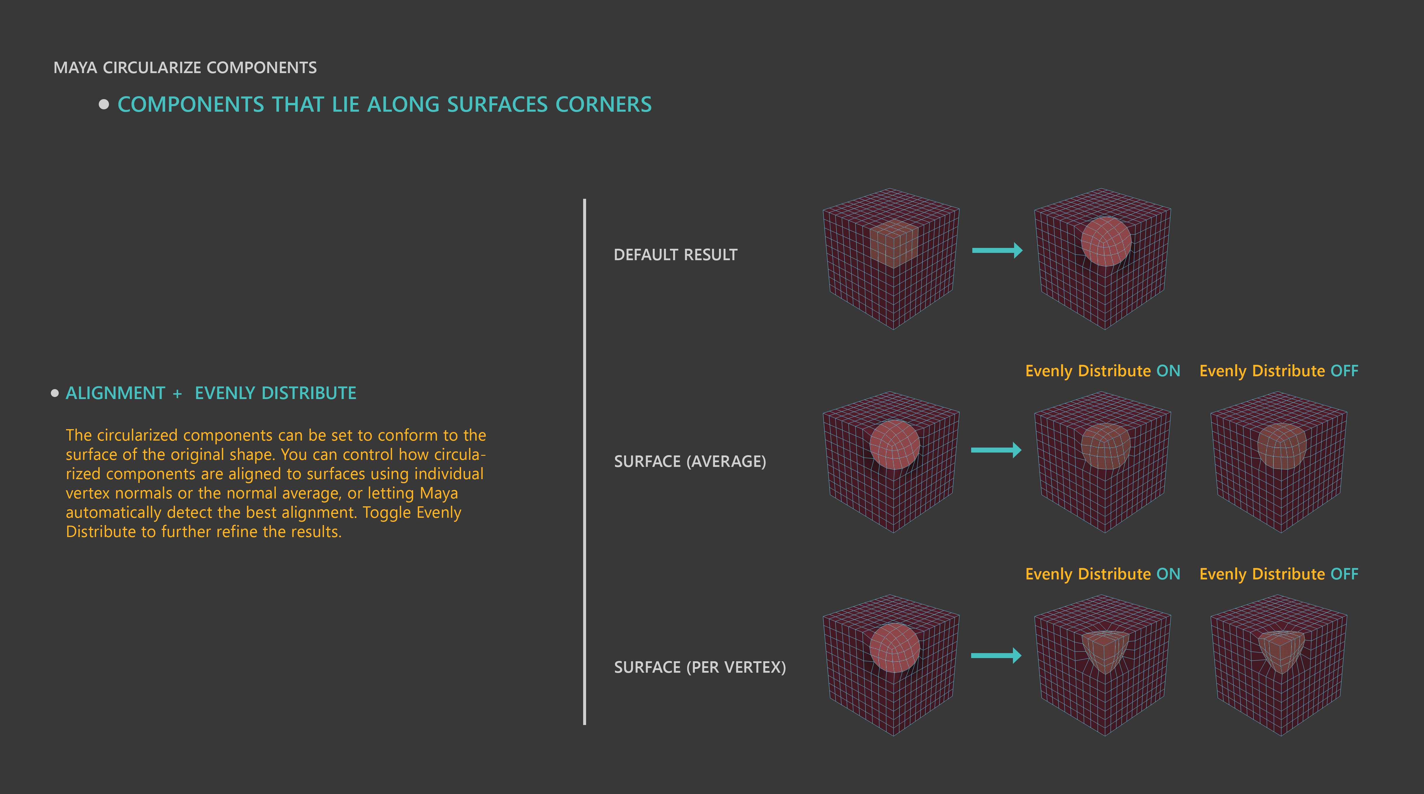 [Circularize Tool] A versatile, competitive and well-integrated ...