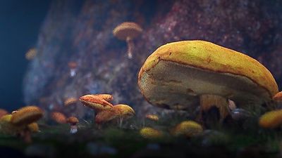 2090F421-67E5-47F9-AF39-578FFF561223.jpeg