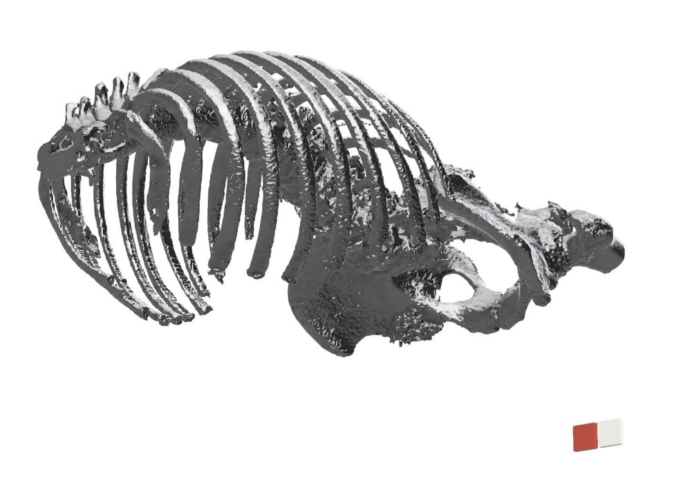 Mesh example (now).JPG